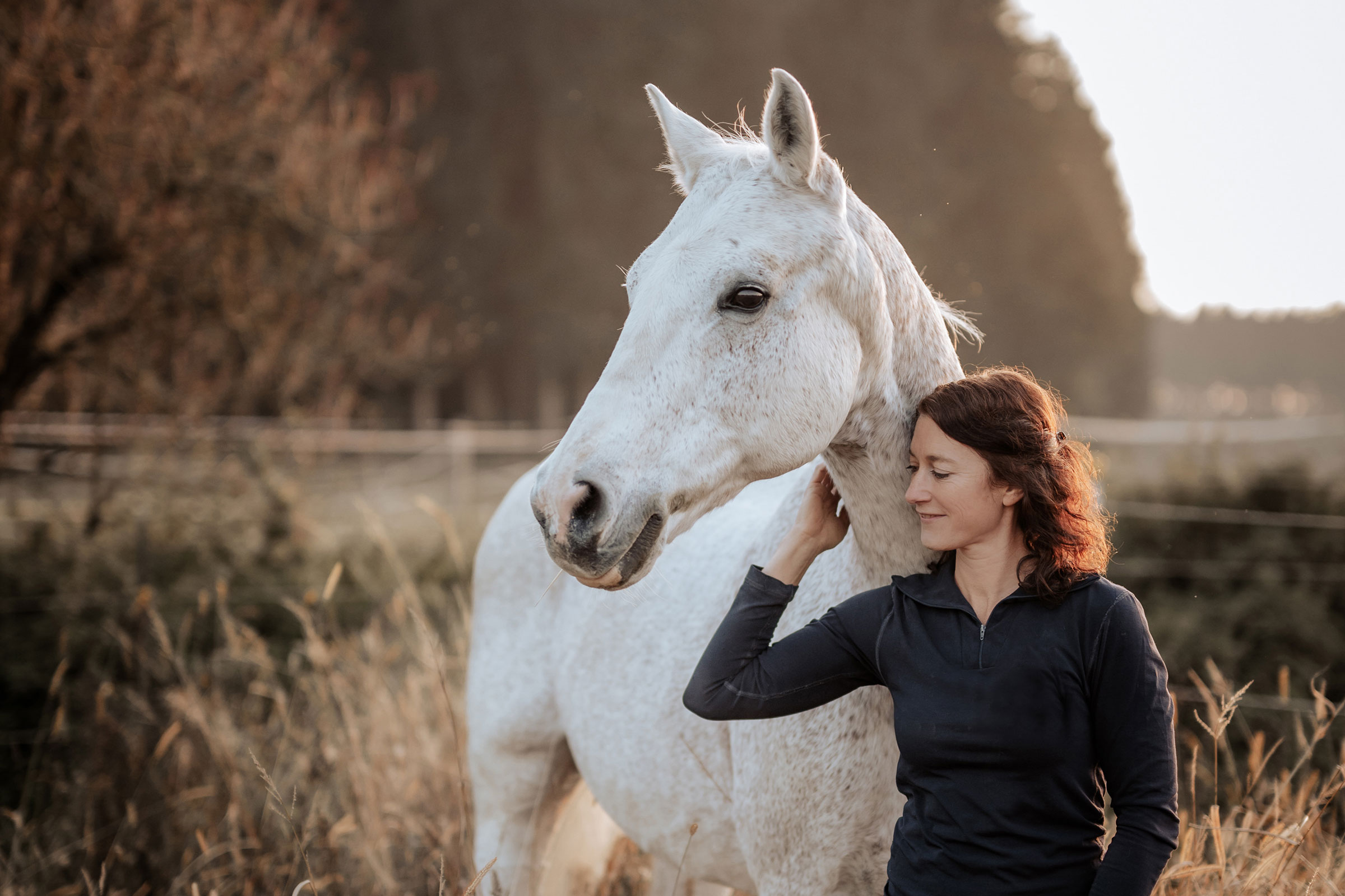 Pferdefotos-Schweinfurt